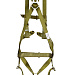 АП II Ж