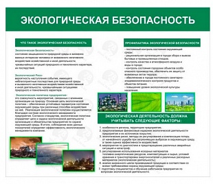 Экологическая безопасность