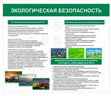 Экологическая безопасность